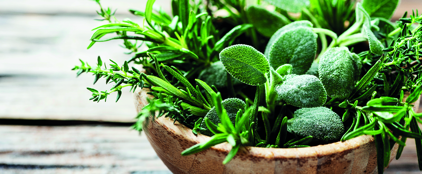 Gärtnerei Gruber - GB Gartencenter GmbH & Co. KG