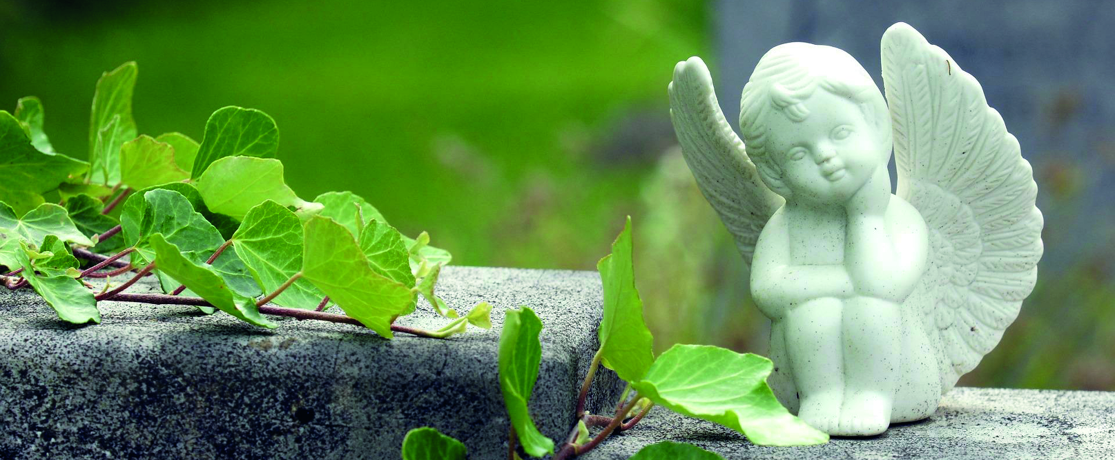 Gärtnerei Gruber - GB Gartencenter GmbH & Co. KG