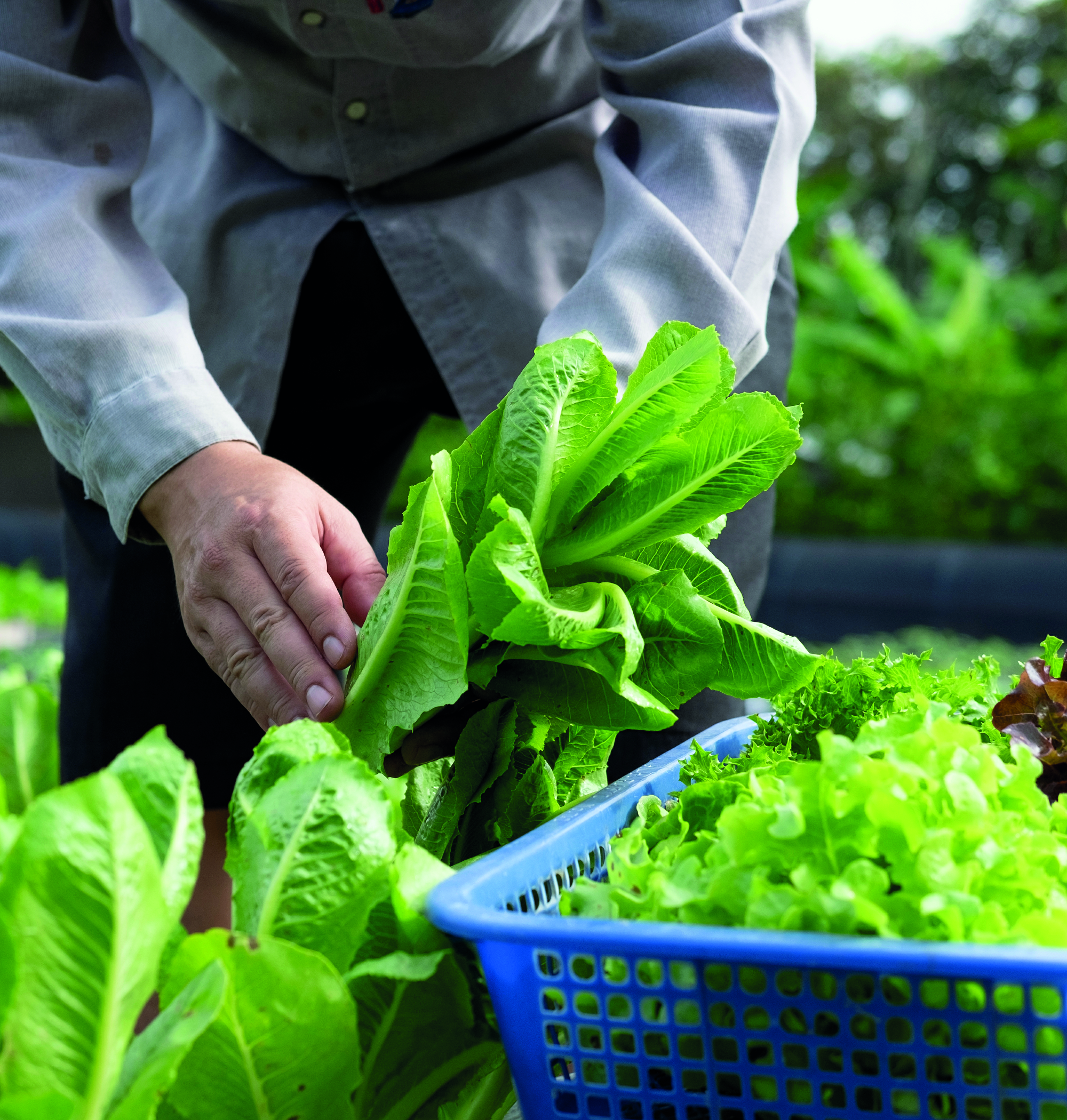 Gärtnerei Gruber - GB Gartencenter GmbH & Co. KG